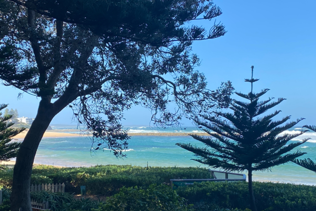 sydney-psychotherapy-counselling