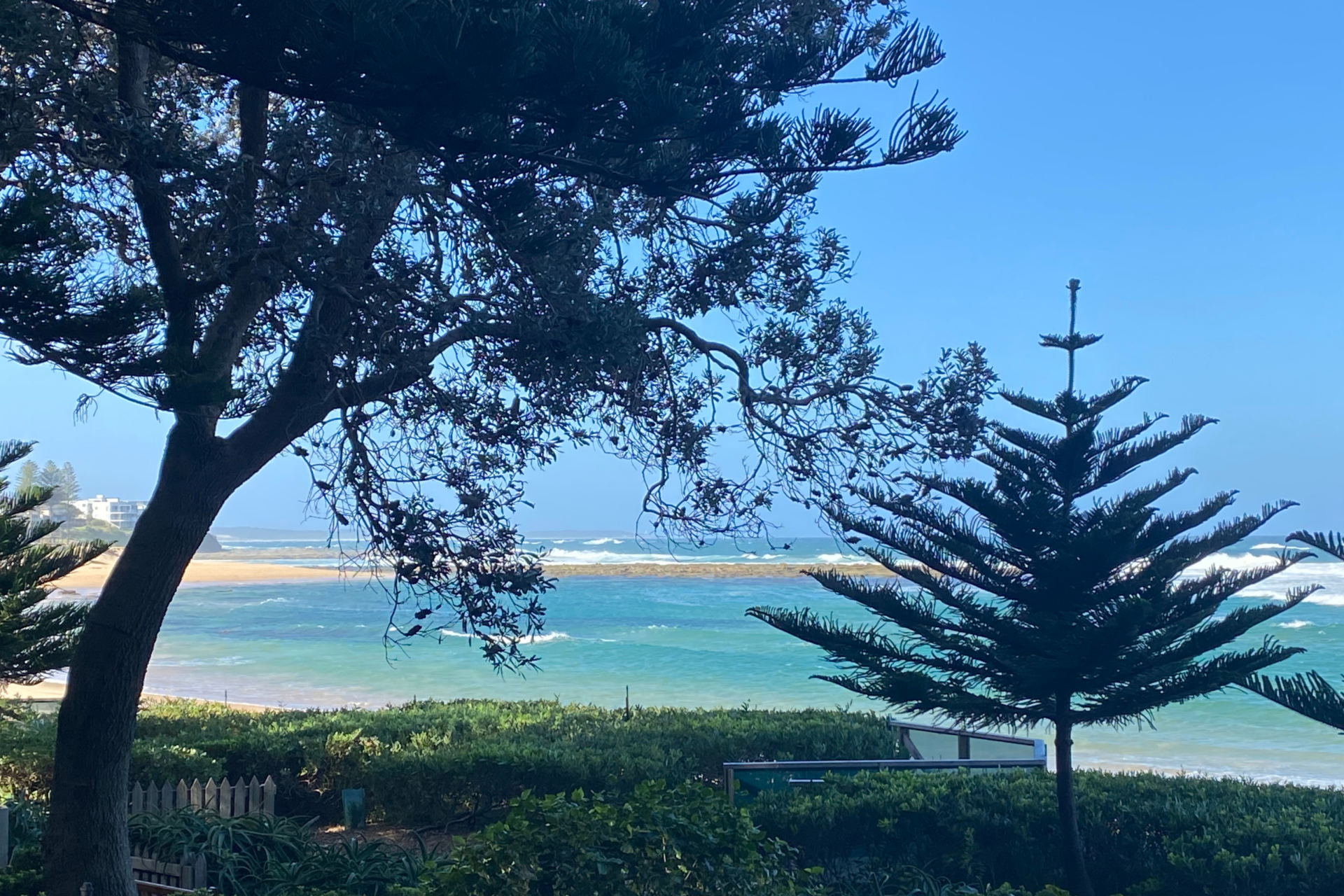 sydney-psychotherapy-counselling