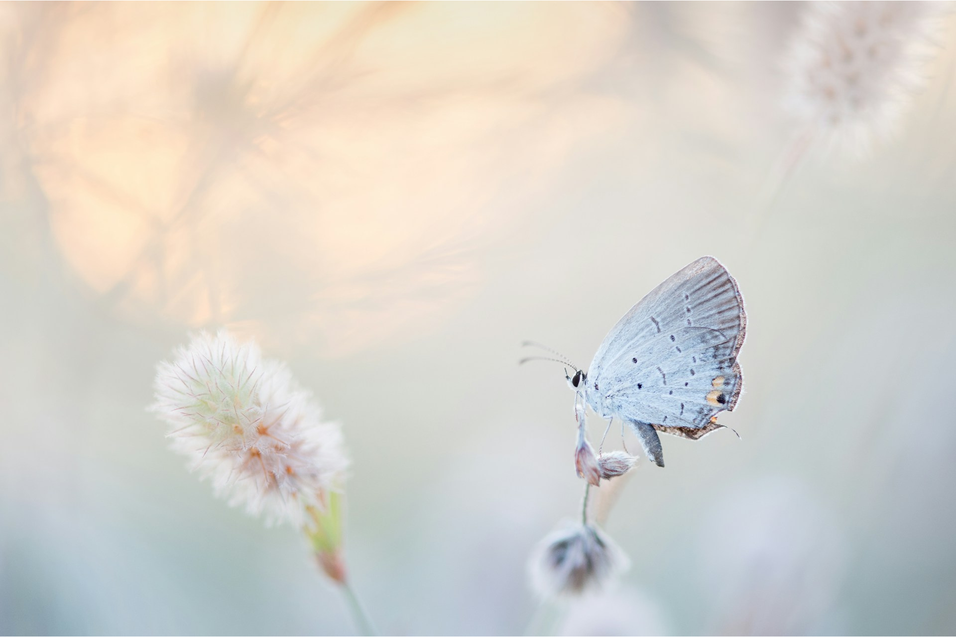 grief-and-loss