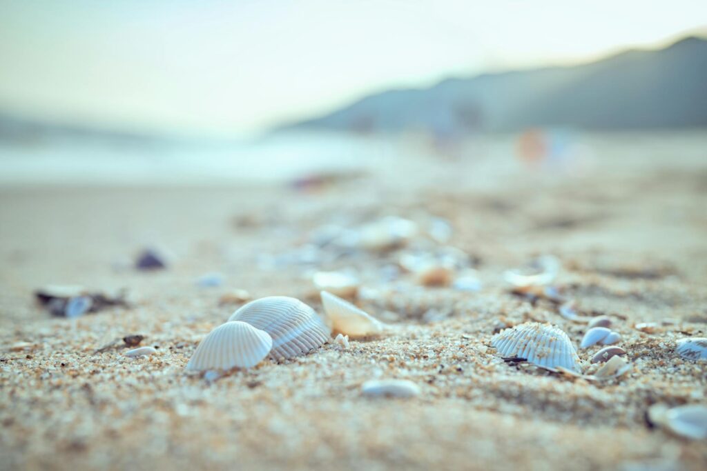 online-anxiety-therapy-Sydney
